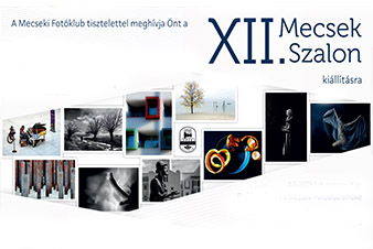 Megnyílt a XII. Mecsek Szalon kiállítás