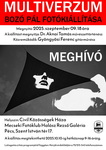 Bozó Pál - Multiverzum