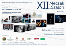XII. Mecsek Szalon kiállítás