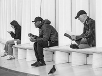 Barakonyi Károly - Street Life