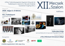 XII. Mecsek Szalon kiállítás