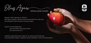 Olasz Ágnes kiállítása