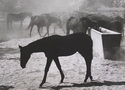 Itatás porban (1975)